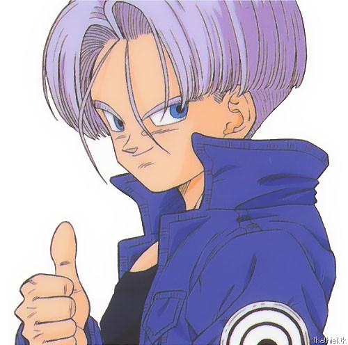 trunks02.jpg