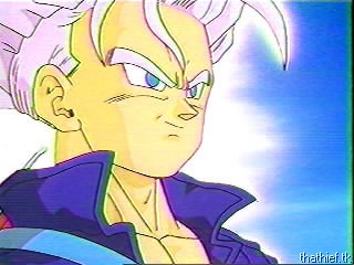 trunks04.jpg