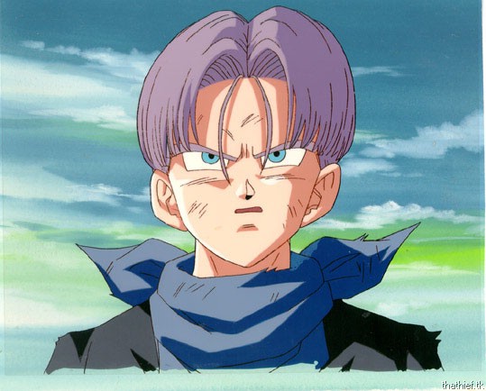 trunks08.jpg