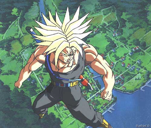 trunks10.jpg