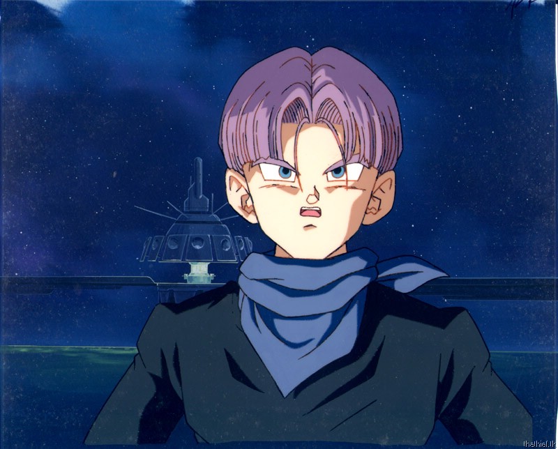 trunks11.jpg