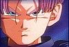 trunks03.jpg