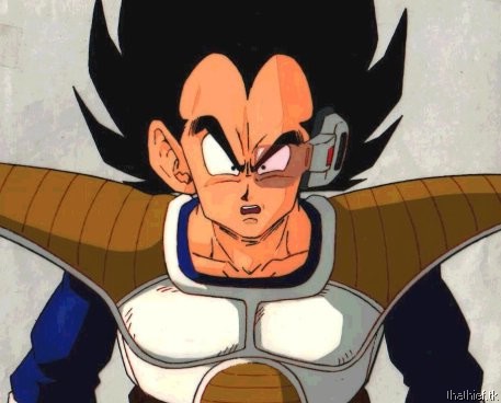 vegeta01.jpg